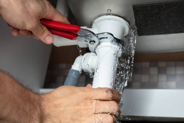 Best 24/7 water damage repair  in Parole, MD