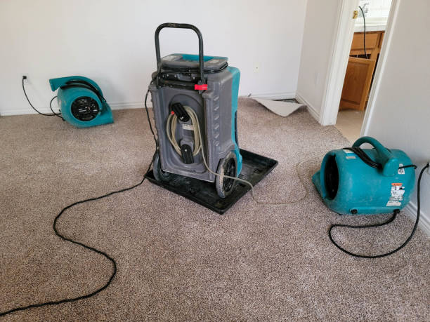  Parole, MD Water damage restoration Pros
