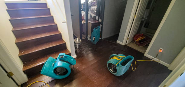 Best Residential water damage restoration  in Parole, MD