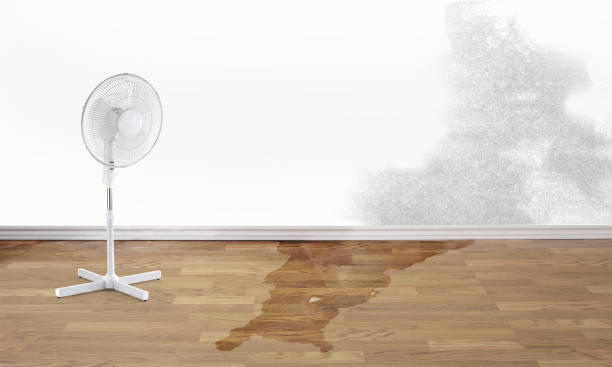 Best 24-hour water damage restoration  in Parole, MD