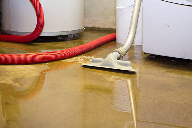 Best Flood damage cleanup  in Parole, MD