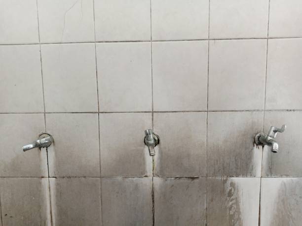 Best Local water damage restoration  in Parole, MD
