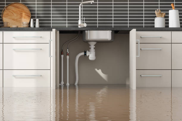 Best Emergency water damage restoration  in Parole, MD
