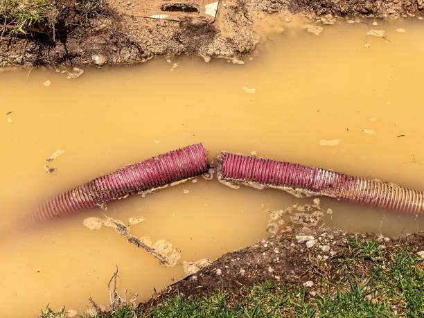 Best Water damage cleanup near me  in Parole, MD