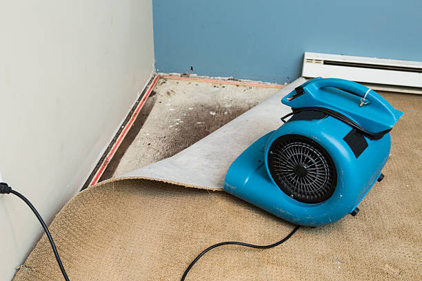 , MD Water damage restoration Company
