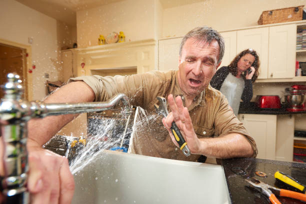 Best Water damage restoration near me  in Parole, MD